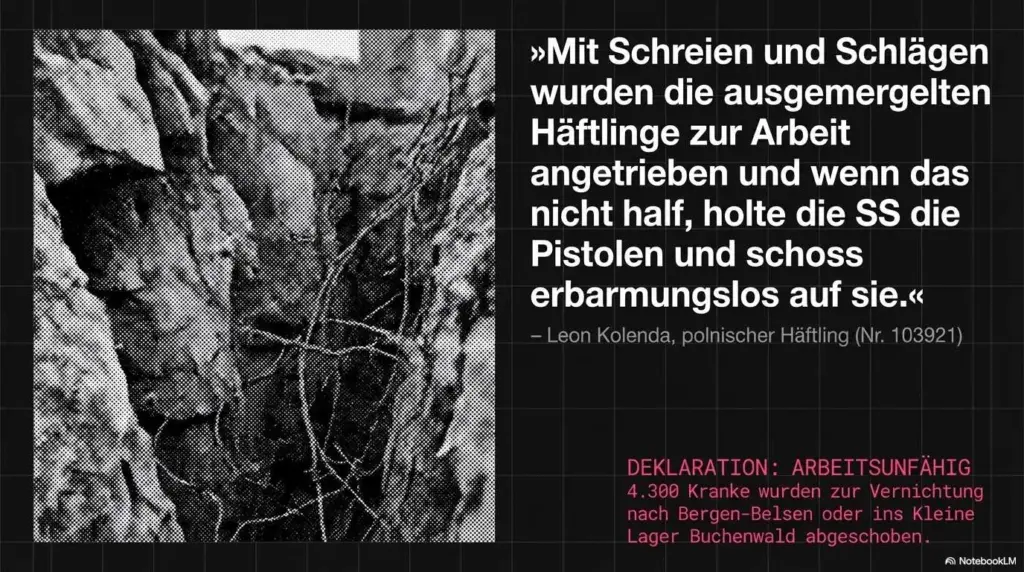 Projekt S Iii Jonastal Folie 8